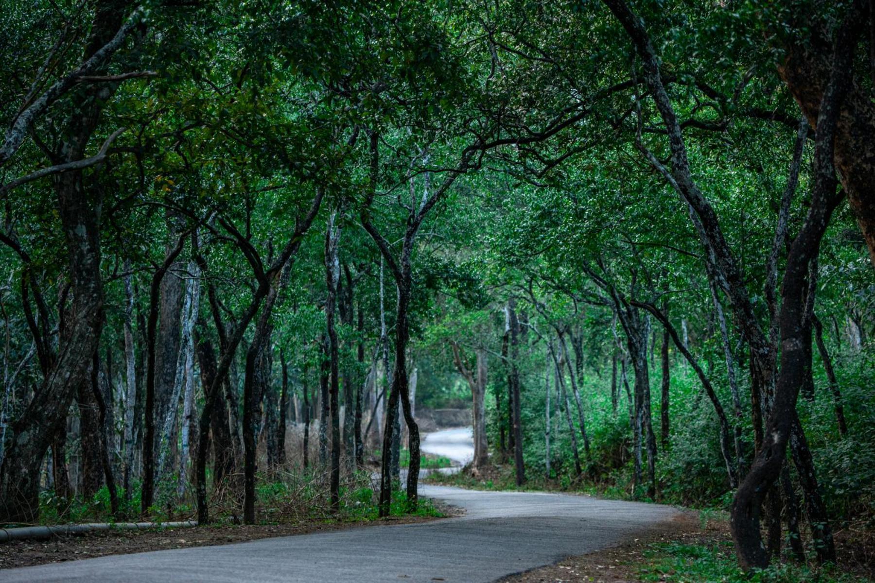 Nature Tones By Brdge Hospitality Maraiyūr Esterno foto