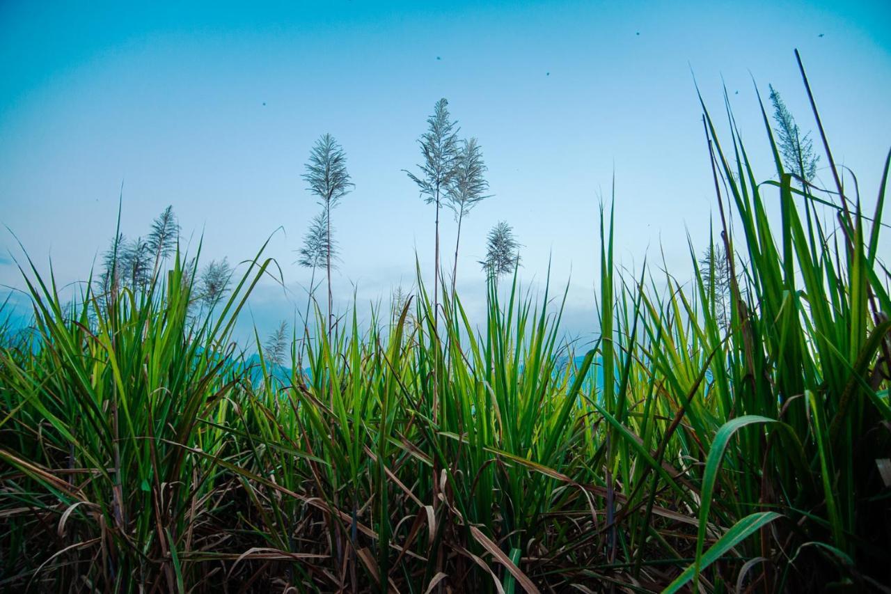 Nature Tones By Brdge Hospitality Maraiyūr Esterno foto