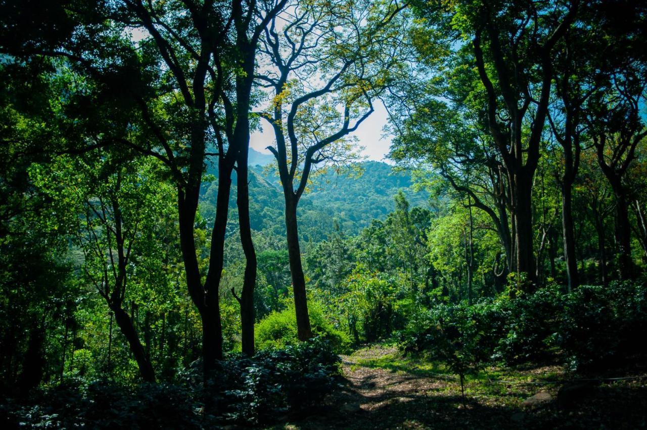 Nature Tones By Brdge Hospitality Maraiyūr Esterno foto